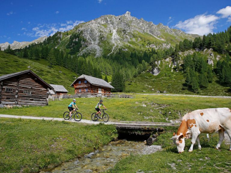 Zwei Mountainbiker und eine Kuh auf einer Alm